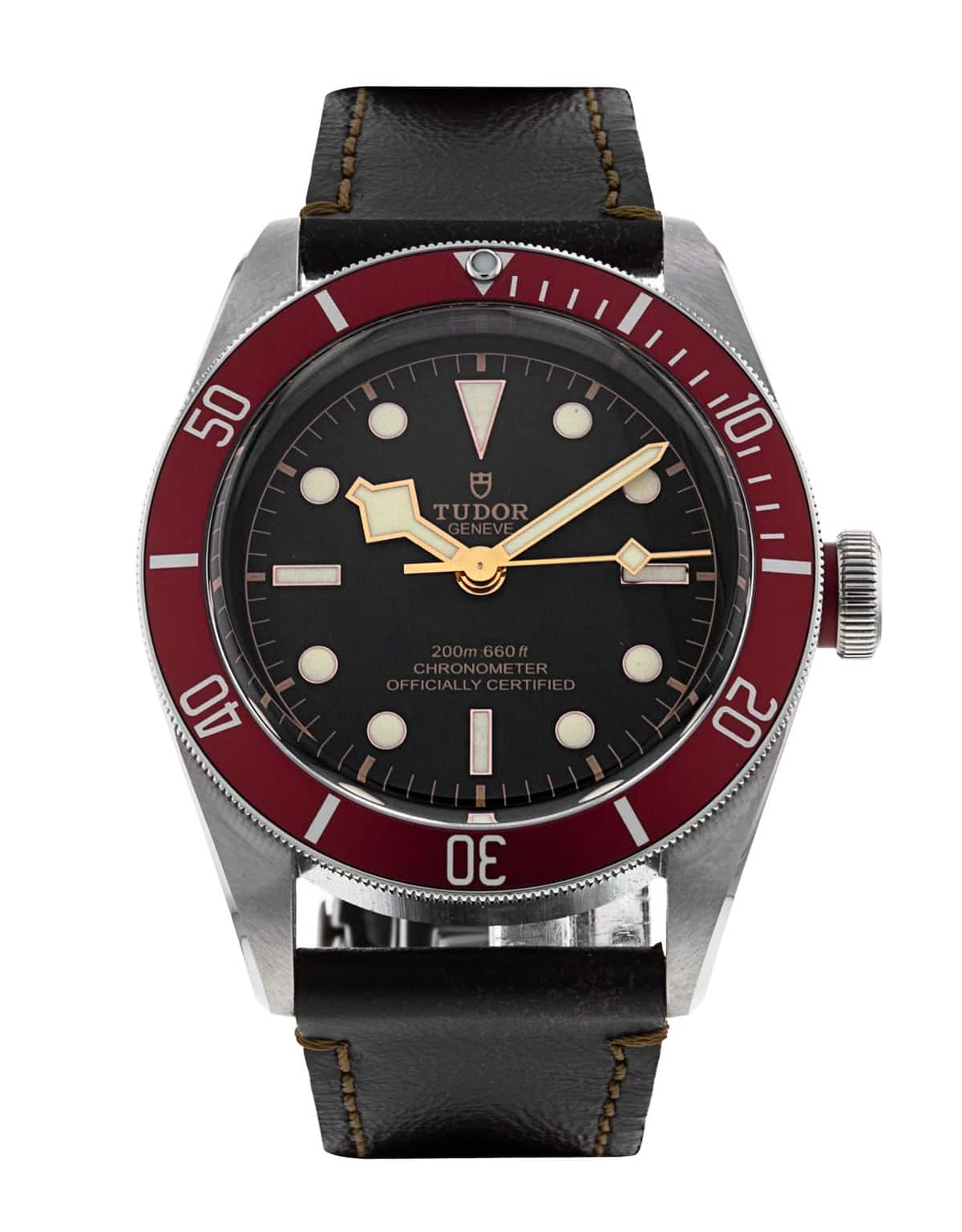 Tudor Black Bay M79230R-0011